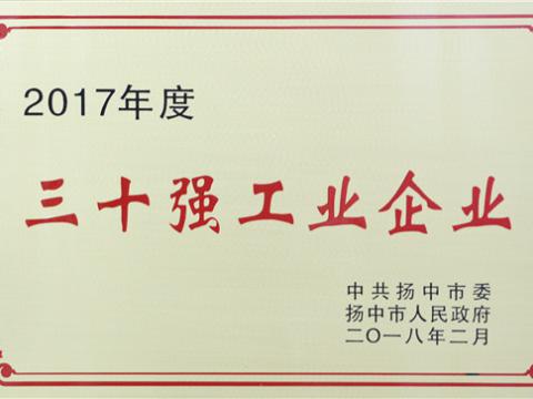 彩神集团提升2017年度扬中市“三十强”前五位